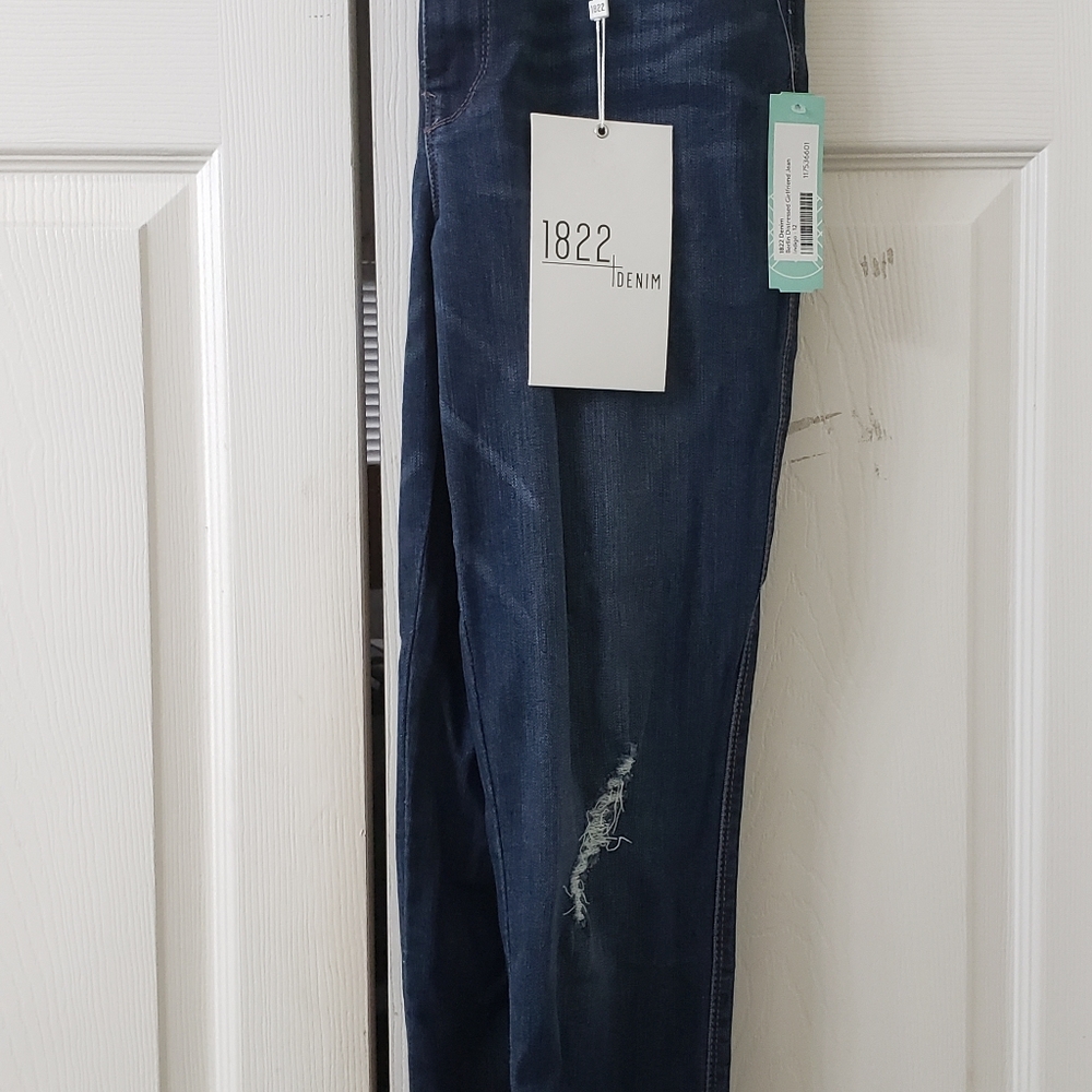 1822 Denim Skinny Jean